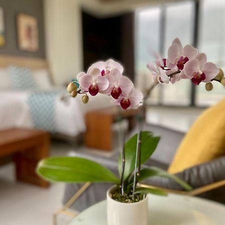 Follow The Cloud B&B Jialin Rom bilde