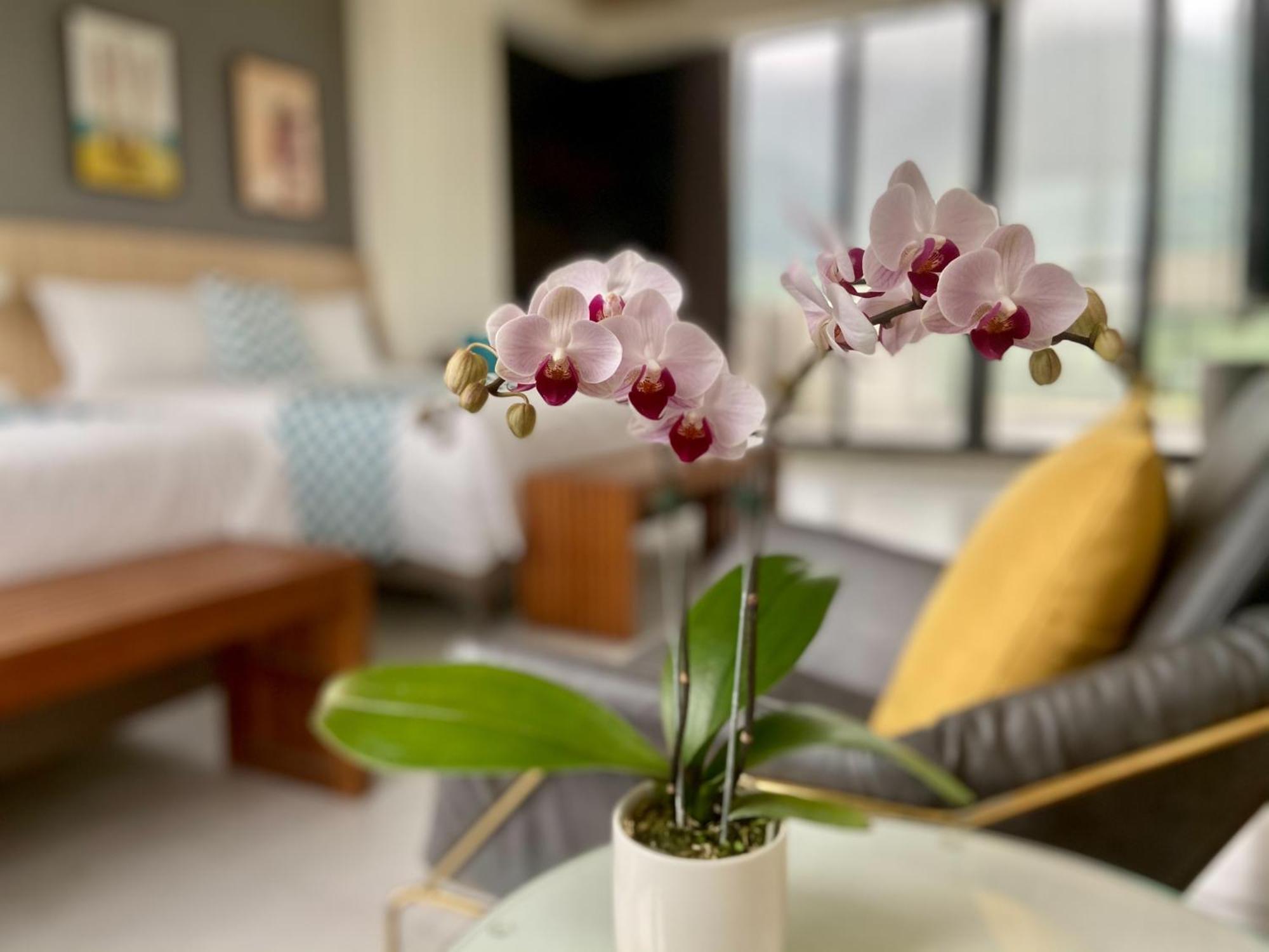 Follow The Cloud B&B Jialin Rom bilde